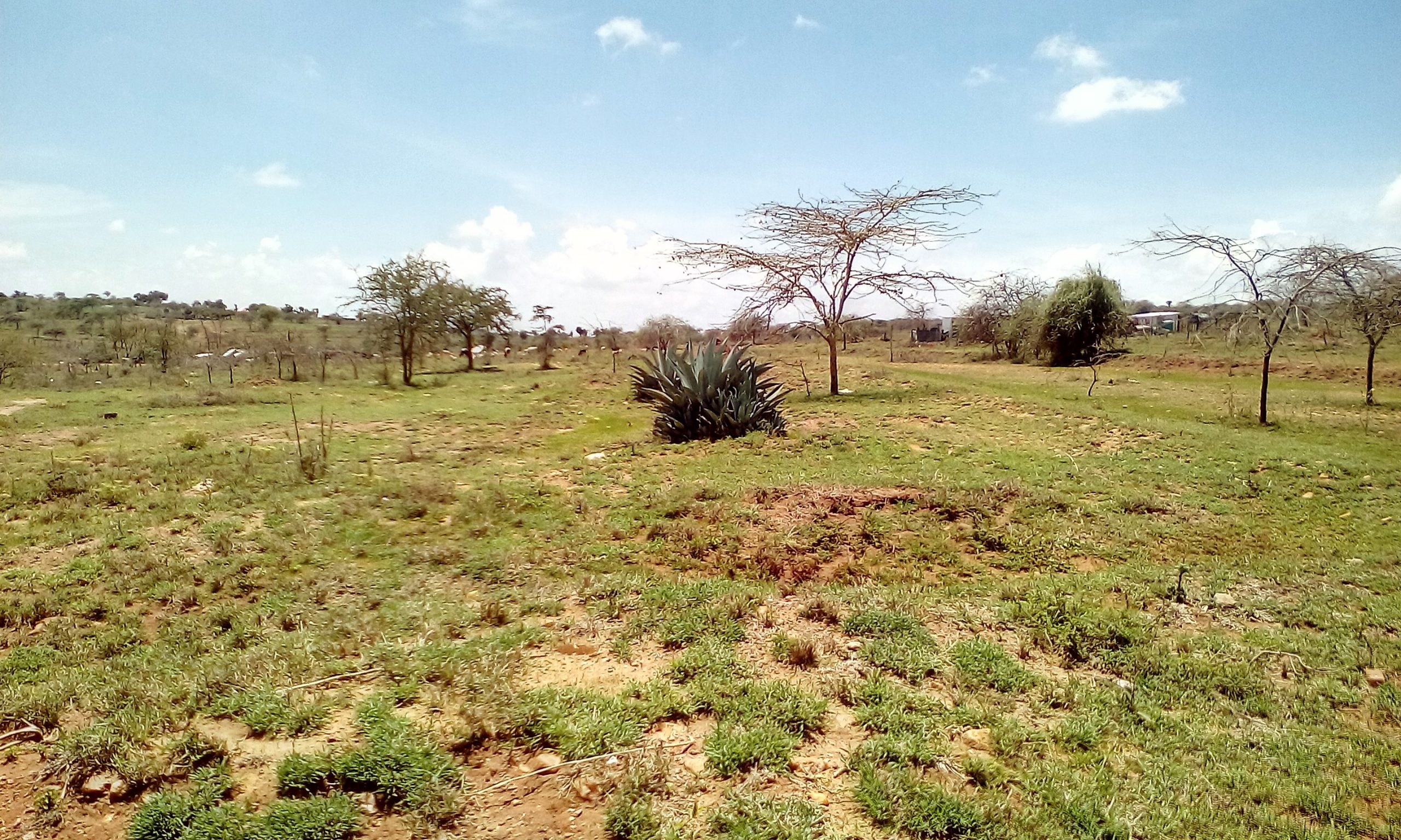 Kiserian quater acre prime plot for Sale Ksh.1.6m