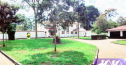 Rosslyn 5Br Remodelled Ambassadorial Maisonette Rent-380K-100