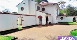 Rosslyn 5Br Remodelled Ambassadorial Maisonette Rent-380K-100