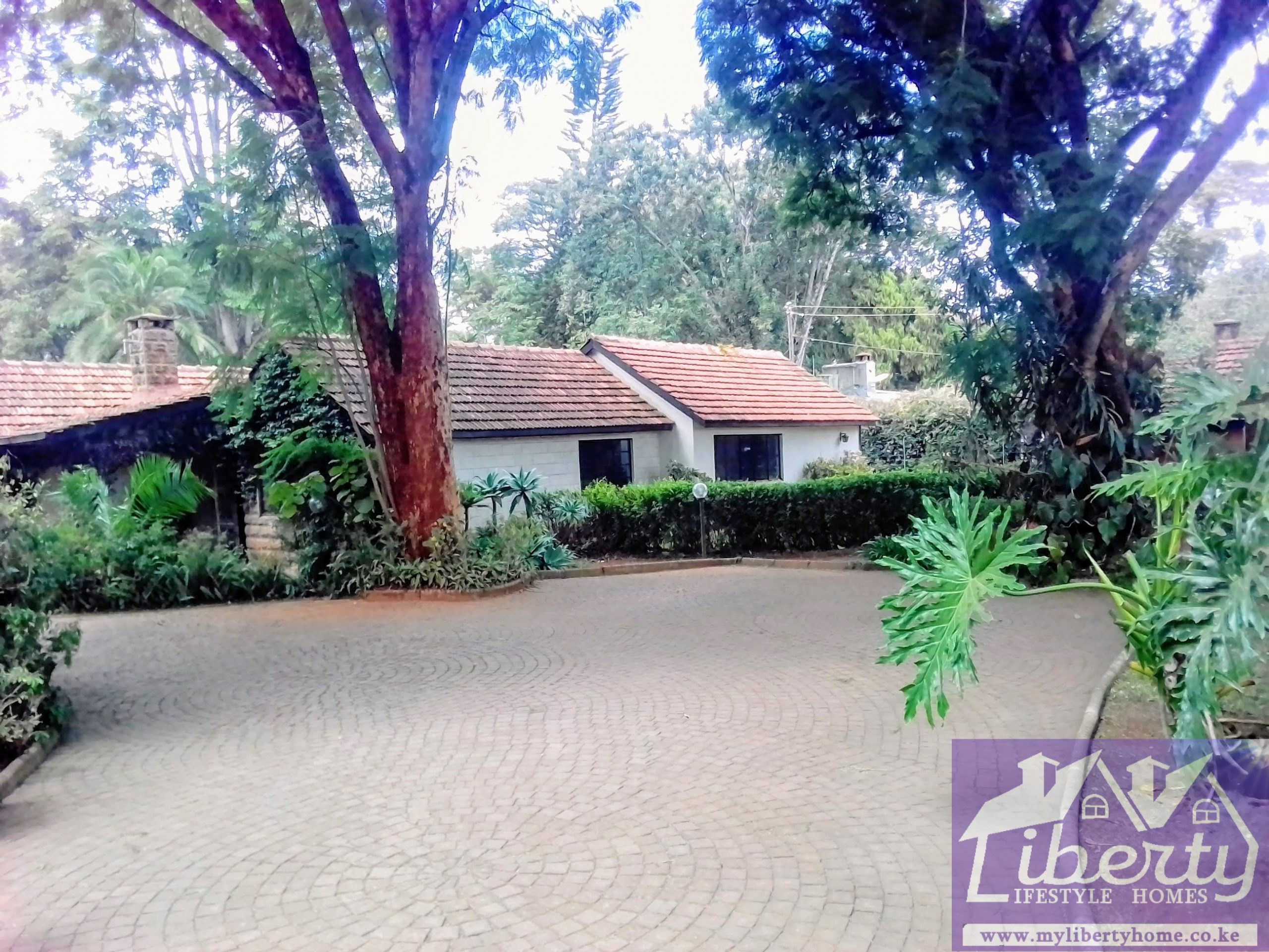 Prime Redevolopment Property with 3 bd Bangalow plus DSQ(2) plus Servants Quarter on 1.1 Acre House For sale in Lavington Nairobi Kenya-250m 1 Frontview scaled