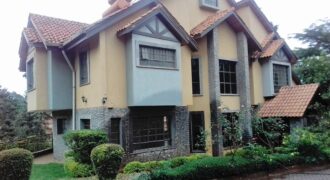 Kitisuru 4Br-Dsq On 1/8 Luxury Mansion Sale-60M-7