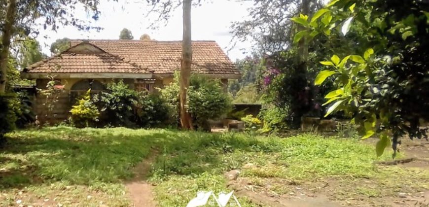 Prime Kitisuru Half Acre plot with Structures for Sale-45M-266
