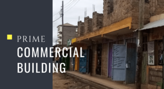 Kayole-Obama Commercial Building For Sale-3.95M-277