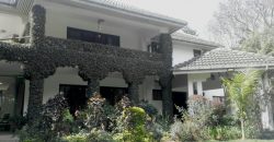 290-Kileleshwa 5Br Ambassadorial Plus 4 Br Guest Wing Mansion For Rent-500K