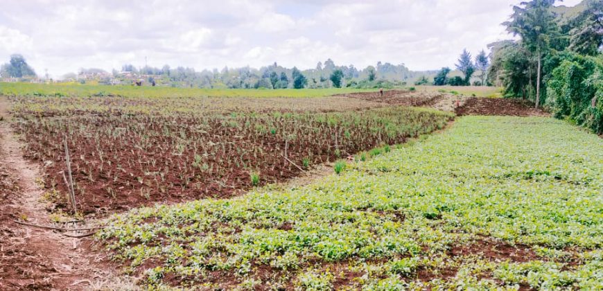 Quick Sale Limuru-One Redhill, 1 Acre Fertile Agricultural Farm Land -25M-336