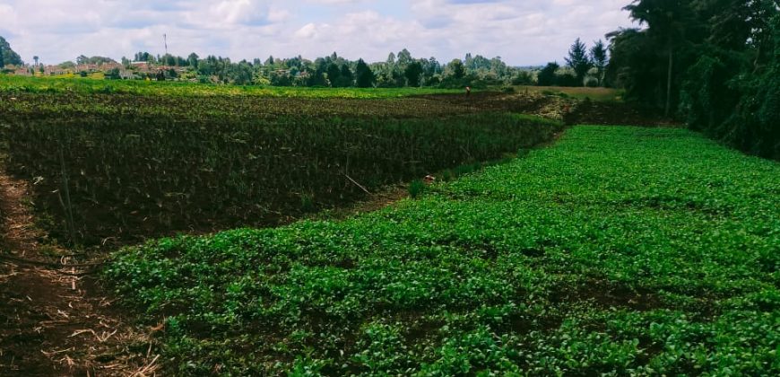 Quick Sale Limuru-One Redhill, 1 Acre Fertile Agricultural Farm Land -25M-336