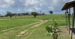 1/4 Acre Roadfronting Serviced Prime Plot In Malindi-C103 For Sale-1.2M- Ref-793