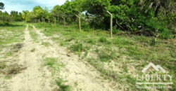 50X100 Town Prime Plot In Ukunda-Diani For Sale-550K- Ref-654